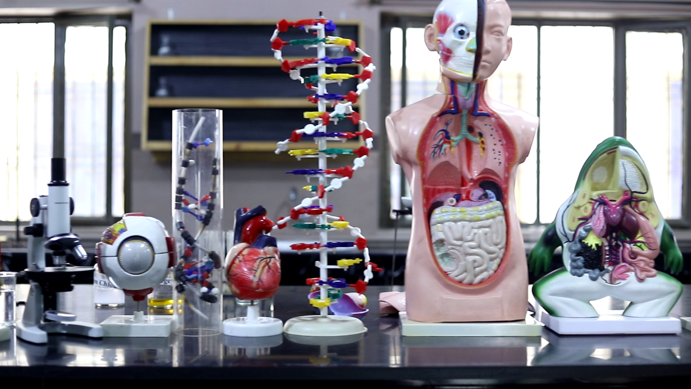 Lab Research